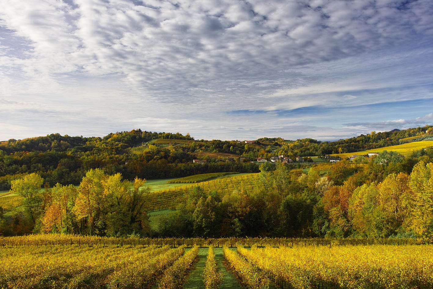 Vigneti di Fregona in autunno