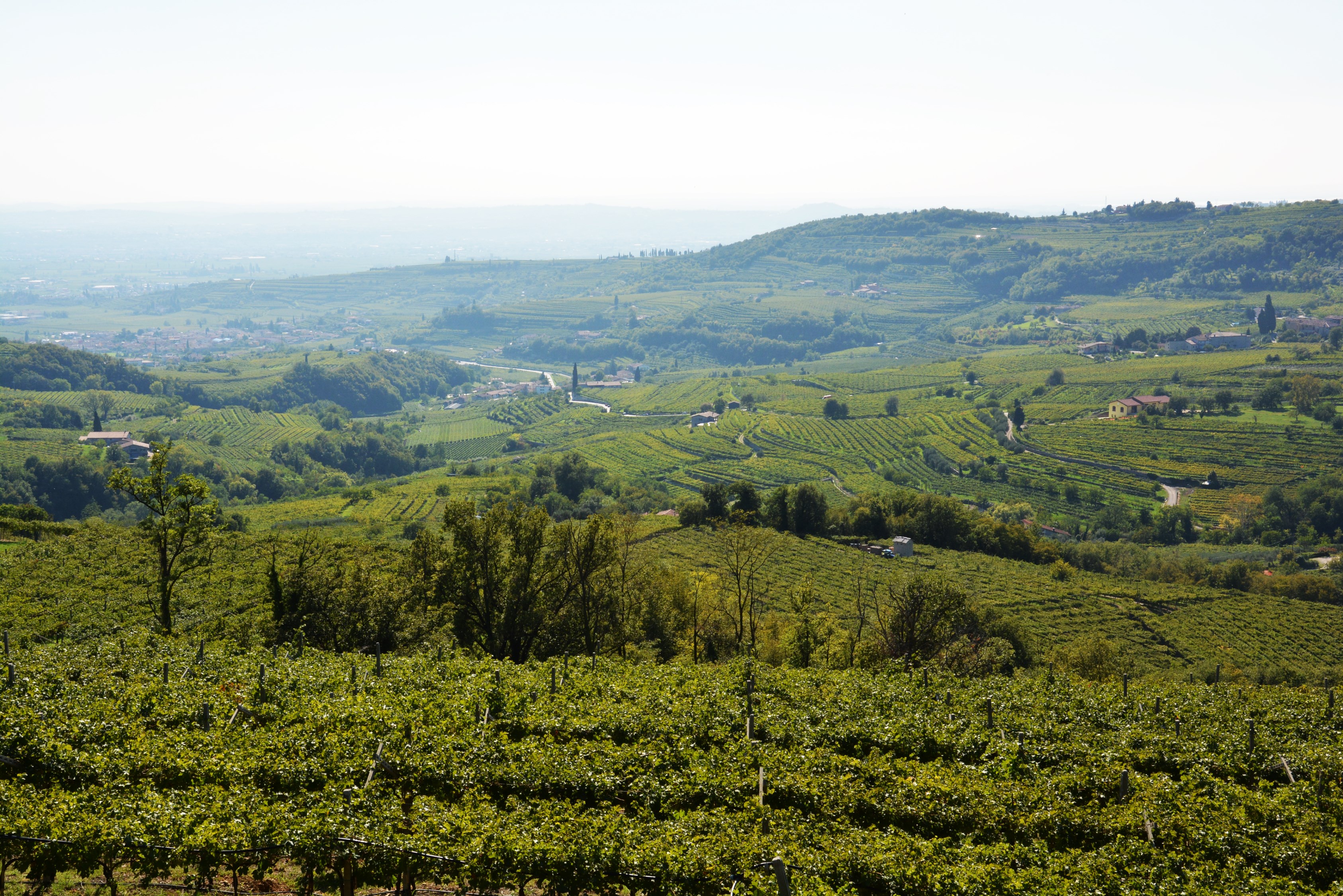 Le valli della Valpolicella